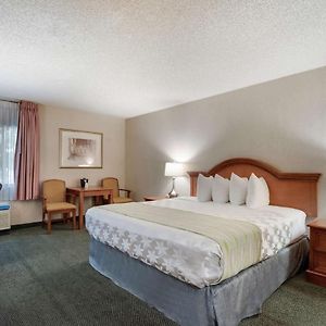 King Room Roll Shower Disability Access or Non-Smoking